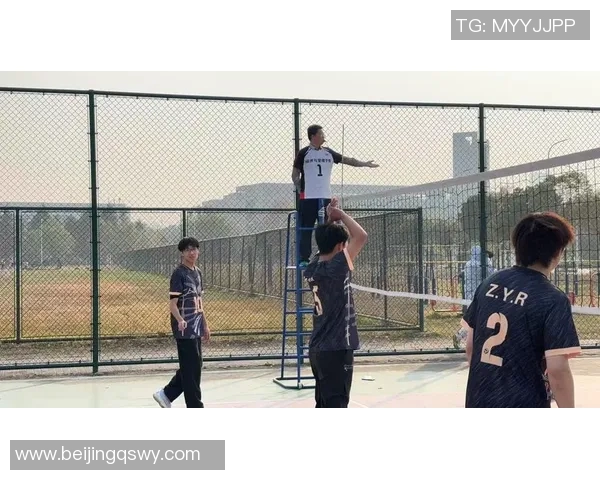 深圳排球队的力量揭秘：排球巨献背后的奋斗与荣耀