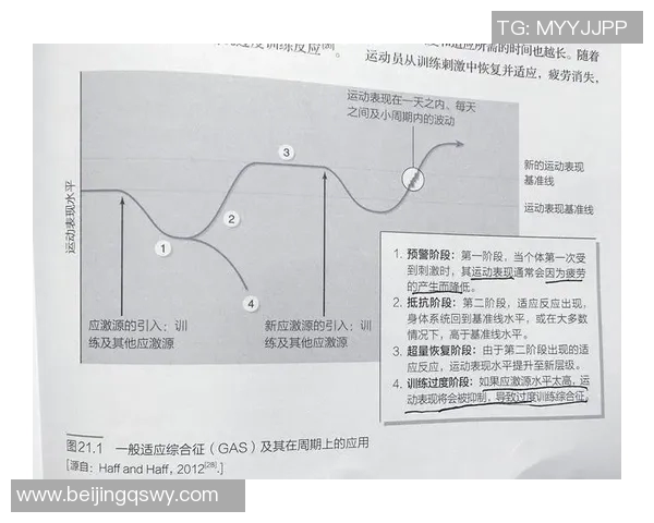 科学网球中的灵活性训练技巧与方法探索助力运动表现提升